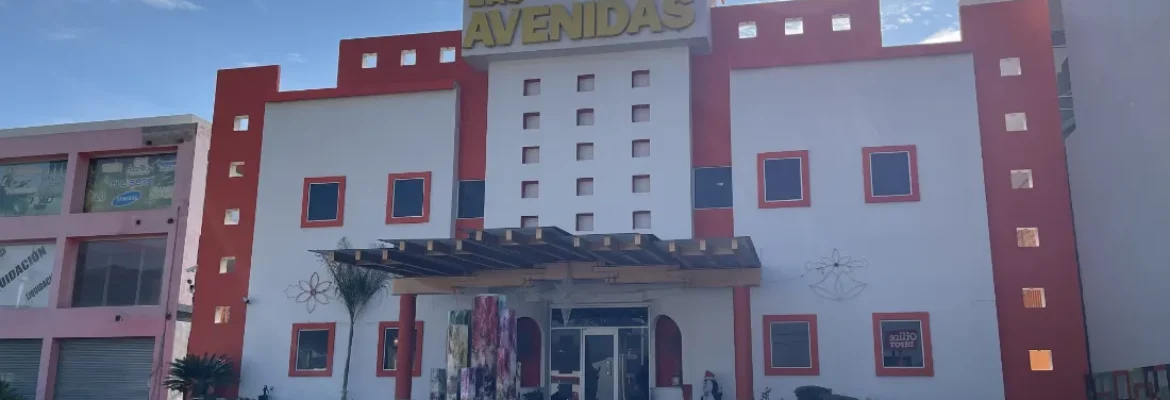 Hotel Las Avenidas