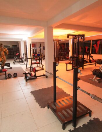 Vipers Gym Pachuca